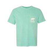 Alabama Women's Brush Strokes Comfort Colors Pocket Tee